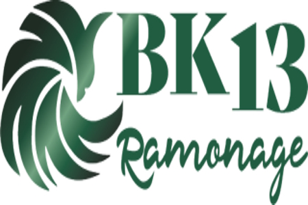 Entreprise Bk13 ramonage