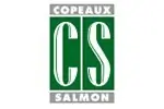 Entreprise Copeaux & salmon