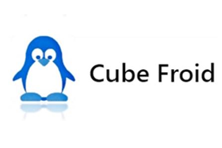 Logo CUBE FROID