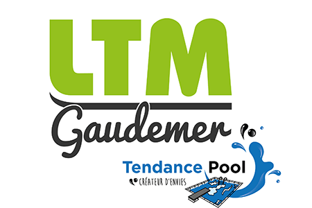 Logo LTM GAUDEMER