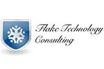 Entreprise Flake technology consulting