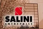 Entreprise Salini